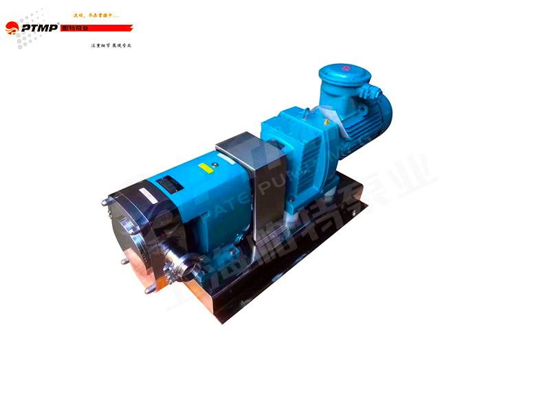 衛(wèi)生級(jí)轉(zhuǎn)子泵